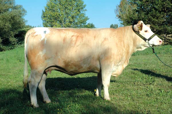 agrokomplex090902